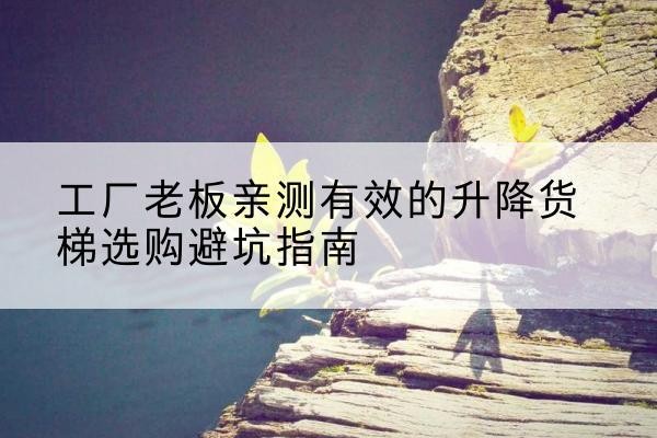 北屯升降货梯怎么选-工厂老板亲测有效的升降货梯选购避坑指南