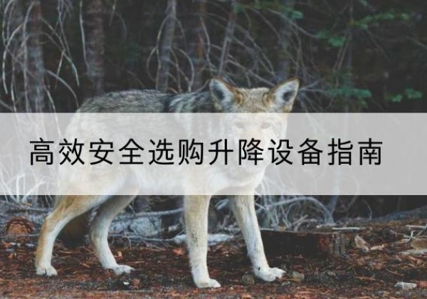 北屯升降货梯厂家推荐-*安全选购升降设备指南