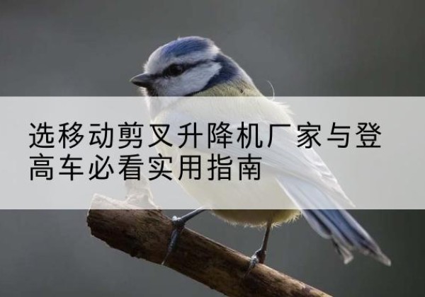 北屯电动升降机厂家-选移动剪叉升降机厂家与登高车必看实用指南