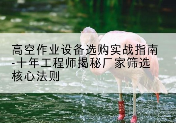 北屯剪叉式升降机厂家-高空作业设备选购实战指南-十年工程师揭秘厂家筛选核心法则